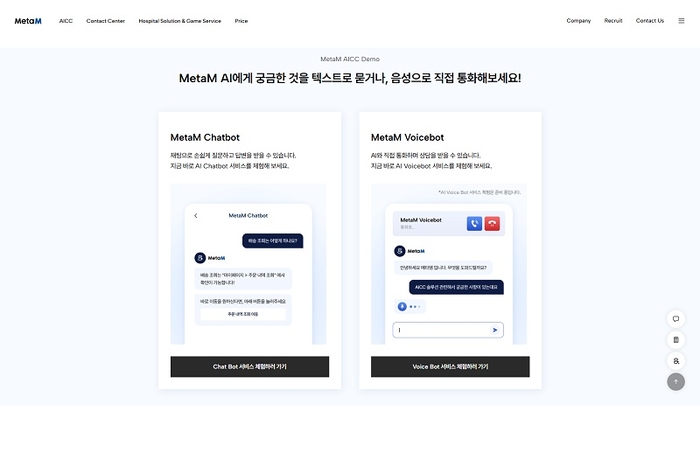 메타엠 이미지