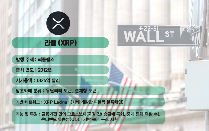 투리플 이미지
