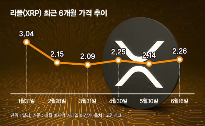 투리플 이미지