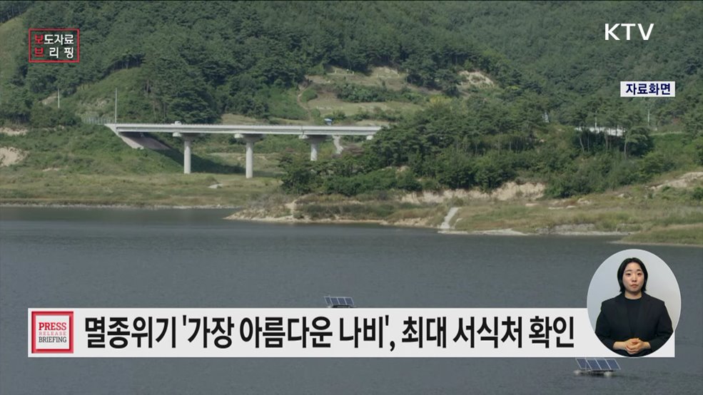 삼척 이미지