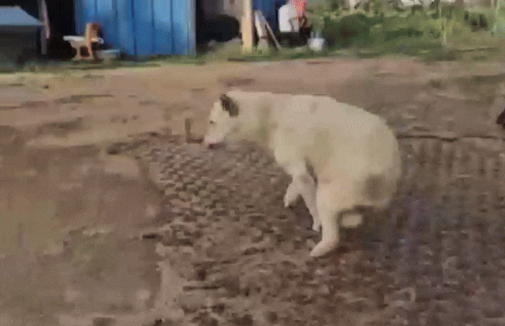 사진=케어 인스타그램