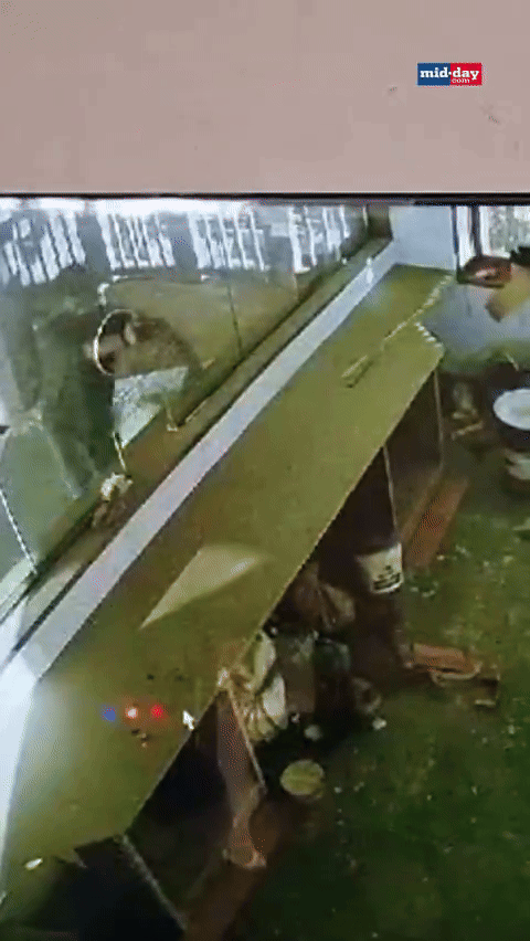 [뉴시스] 인도의 한 맥주 가게에서 좁은 창문을 넘어 금품을 훔친 도둑이 화제가 되고 있다.(사진=midday) *재판매 및 DB 금지