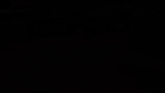 제보자 혜민씨가 발견할 당시 백구 모습. 제보자 제공