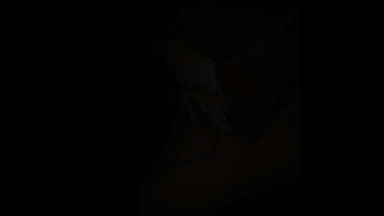 제보자가 혹한 속에 구조한 모견과 새끼들. 100일 간의 돌봄 끝에 건강을 되찾고 입양을 기다리고 있다. 제보자 제공