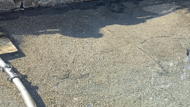 백산수 수원지 내두천에서 자연적으로 솟아오르고 있는 천지의 물. 전새날 기자