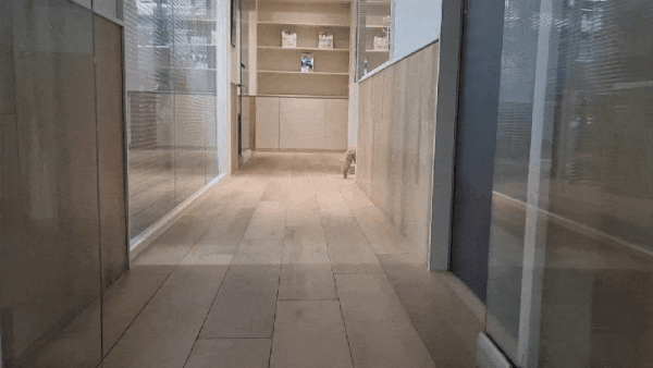 수술 후 기력을 회복한 모습(온동물의료센터 제공) ⓒ 뉴스1