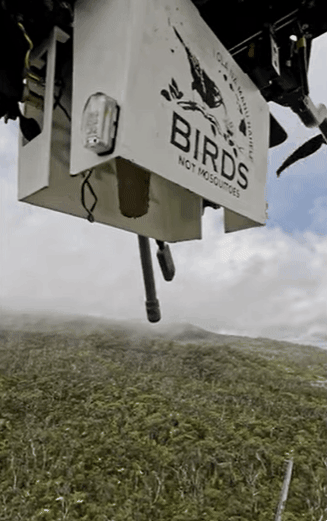 모기가 담긴 원통형의 종이 함이 드론에서 지상으로 떨어지고 있다. 하와이 환경단체 제공