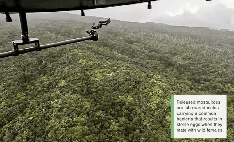 모기가 담긴 원통형의 종이 함이 드론에서 지상으로 떨어지고 있다. 하와이 환경단체 제공
