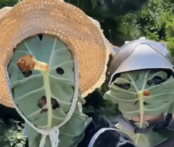 [서울=뉴시스]중국 푸젠성의 한 청년이 연잎으로 만든 마스크를 착용한 영상이 사회관계망서비스(SNS)에서 화제를 모으고 있다.(사진=장원시쉰) *재판매 및 DB 금지