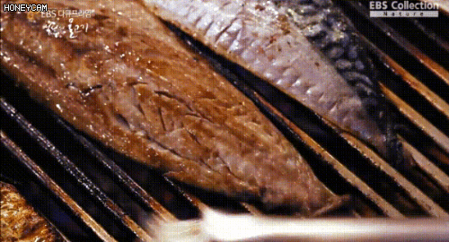 29eb8172e18768a26cead5e745d0256b5d137e2ad48f67a413fd5cd99552aa73ed9a3796eb0567761eac54b26a7c82241d1bb9333932e9fbd674c0e3fd8ea3ace9a7b3f453e08c425c768fb215