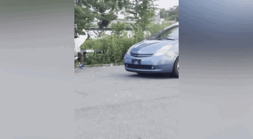 [뉴시스]뉴욕 퀸스의 국립공원에서 한 무리가 백조를 납치하고 도주하는 모습이 포착돼 화제를 모으고 있다. (사진=뉴욕포스트)  *재판매 및 DB 금지