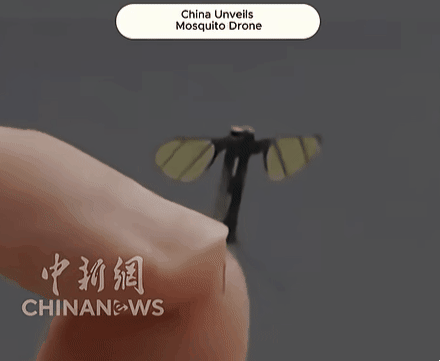 중국 연구진이 모기의 몸집과 외형을 꼭 닮은 초소형 정찰 드론을 공개했다. 중국 국방과학기술대학(NUDT) 제공
