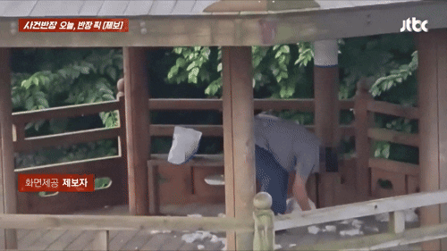 (JTBC '사건반장' 갈무리)