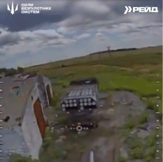 엑스(@mila__alien) 캡처