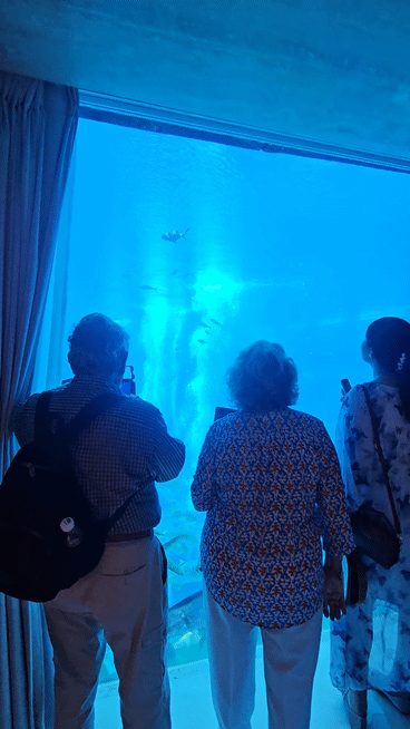 중국 하이난성 싼야시의 아틀란티스 싼야 스위트룸 1층으로 내려가니 창밖으로 수족관이 보이고 있다. (영상=이데일리 이명철 특파원)