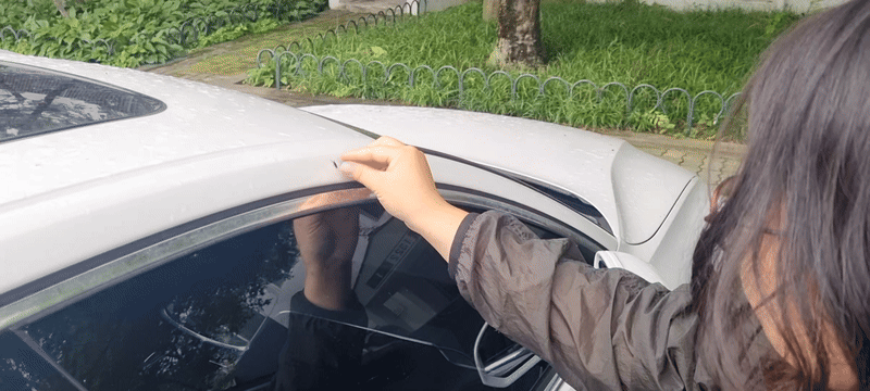 국립생물자원관 연구진이 지난 25일 서울 양천구 한 아파트 단지 내 흰색 차량에 붙어 있던 붉은등우단털파리(러브버그)를 채집해 알코올에 넣고 있다. 강한들 기자