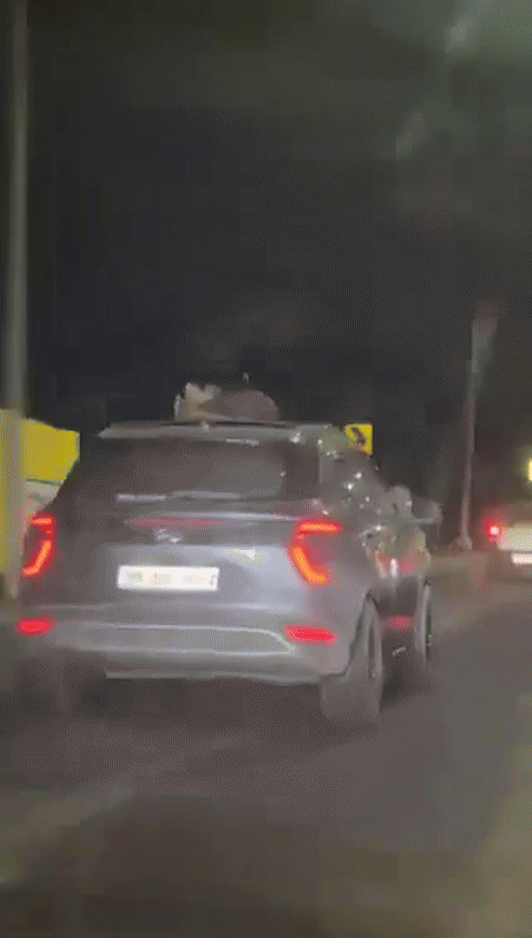 [뉴시스] 고속도로에서 커플이 키스하는 장면. (사진=docnhanh) *재판매 및 DB 금지