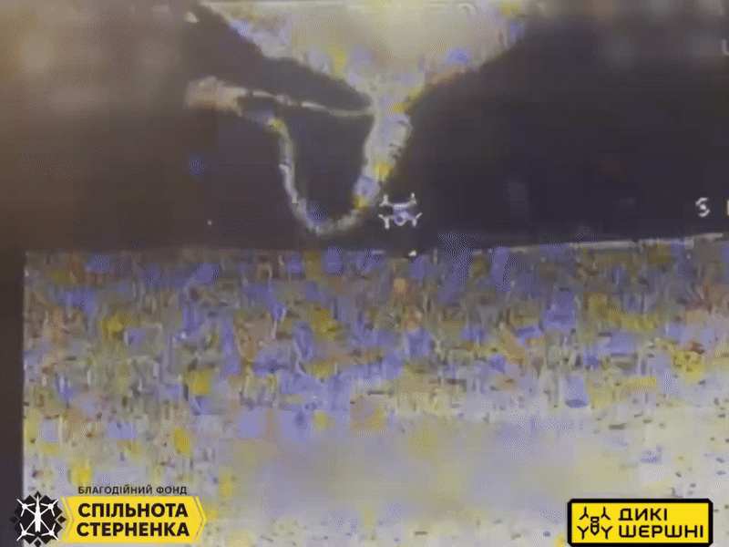 우크라이나 드론 업체 ‘와일드 호넷’이 요격 드론으로 샤헤드 드론을 격추하는 장면. 출처=와일드 호넷 텔레그램