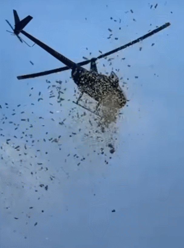 지난달 27일(현지시간) 미국 한 남성의 유언에 따라 디트로이트 상공에서 헬리콥터가 현금을 뿌려 지나가던 사람들이 나눠갖는 이벤트가 성사됐다. /영상=인스타그램 갈무리