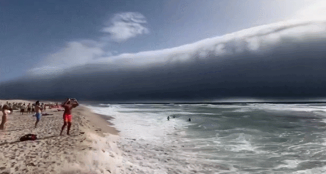 루이 페르난데스 영상 갈무리