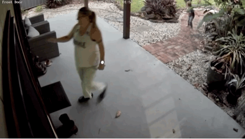 해당 영상 속 엄마와 아이가 화식조에게서 도망치고 있다. [영상=Department of the Environment, Tourism, Science and Innovation]