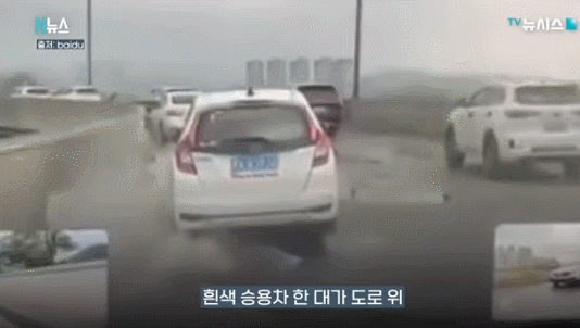 ⓒ뉴시스