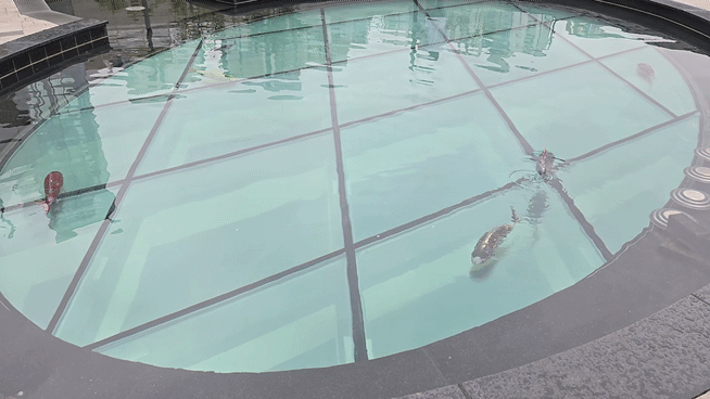 넷마블 캐릭터공원 연못에 로봇 물고기 여섯마리가 유유히 헤엄치고 있다. 이 날 천둥·번개를 동반한 폭우가 내렸으나 끄떡 없었다./사진=이찬종 기자