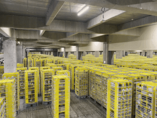 [지바=뉴시스]전병훈 기자 = 지난달 30일 찾은 지바 미나토 아마존 풀필먼트 센터에서 아마존이 개발한 헤라클래스 드라이브 유닛이 포드를 운반하고 있는 모습이다. *재판매 및 DB 금지 *재판매 및 DB 금지