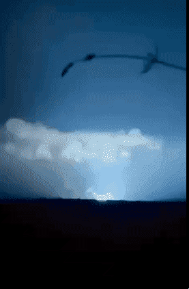 지난 2일(현지시간) 우크라이나군이 도네츠크주 하르츠크 마을에 있는 러시아군의 탄약고를 공습하면서 대규모 폭발이 발생했다. 러시아 독립매체 아스트라 제공