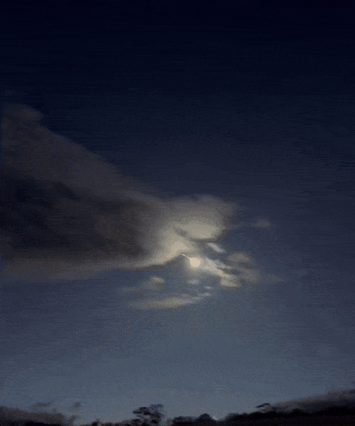 3일(현지시간) 오전 12시 50분 스코틀랜드 글래스고, 아르길 앤드 뷰트 등 여러 지역에서 목격된 유성. 쯤 사진=엑스(@adriancoll1) 캡처