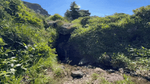 한라산 백록샘 [촬영 백나용]