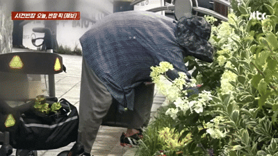 (JTBC '사건반장' 갈무리)