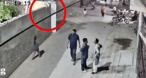 파키스탄에서 반려동물로 키우던 사자가 탈출해 행인들을 공격하는 사고가 발생했다./영상=엑스(X·옛트위터)