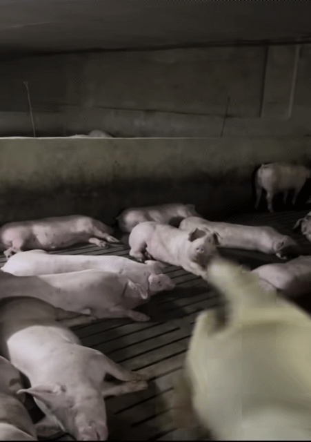 0c94e323e9d73bb251ed86e74381736d44c68d1500d64a08a917650addb0ada0cde8b71460cc476e0bd768c0a391d613e4