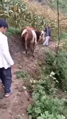 7ce8887fb5836cf63be698b21fd70403988655699ccbb9c507840096