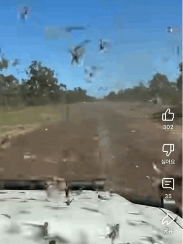 미국 샌프란시스코 지역의 ABC 계열 지역 뉴스 방송사 ‘abc7news’ 공식 SNS 갈무리