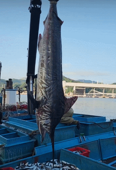 삼척시의회 정연철 시의원 페이스북