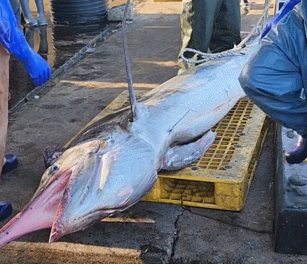삼척시의회 정연철 시의원 페이스북