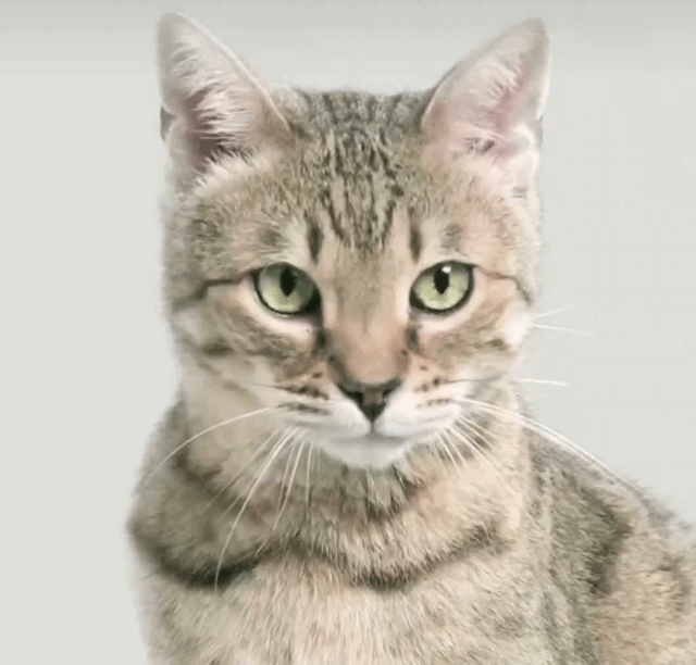 갤럭시Z플립7 연출 장면. 영상=삼성전자