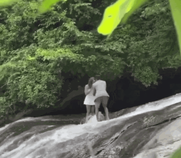 /영상=엑스(X·옛 트위터) 캡처