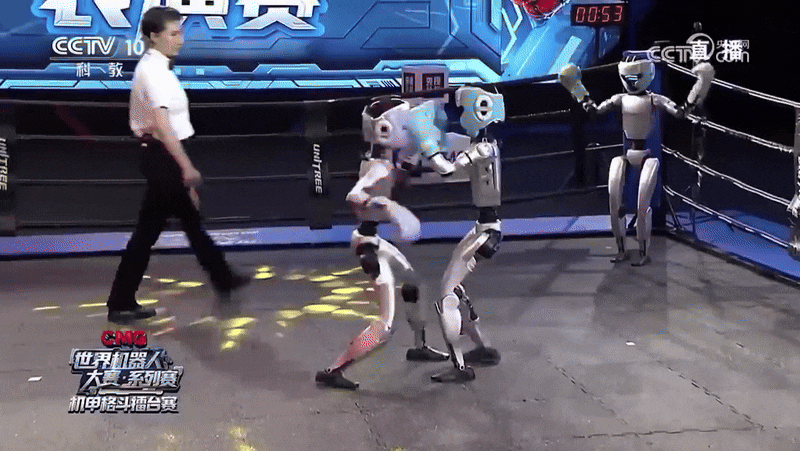유니트리가 개발한 소형 휴머노이드가 격투기 경기를 벌이고 있는 모습. 경기는 5월 26일 관영 중앙TV(CCTV)를 통해 중계됐다. /CCTV 과학교육채널 제공