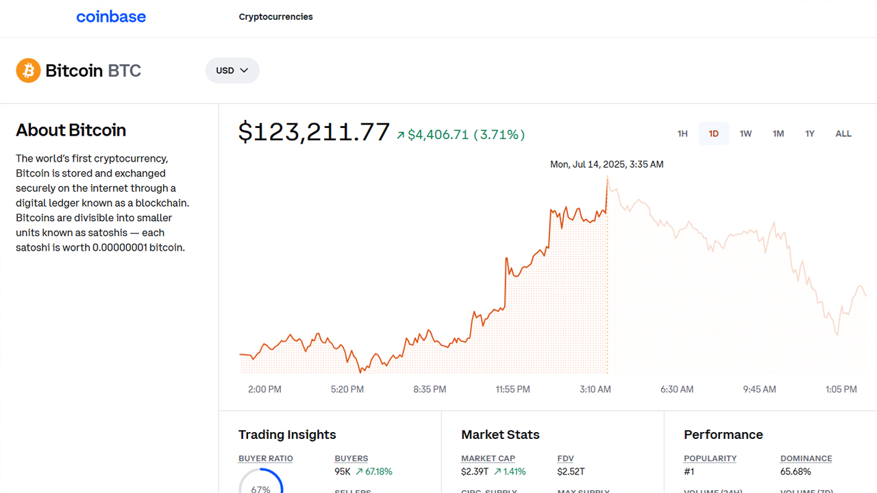 비트코인, 한때 12.3만 달러 돌파...12만 달러 안팎 등락