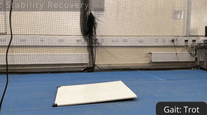 영국 연구팀이 동물의 보행에서 영감을 받아, 지형에 따라 스스로 걸음을 조절하는 네 발 로봇을 개발했다. 이 로봇은 풀밭, 자갈길, 진흙 등 다양한 바닥에서도 넘어지지 않고 자연스럽게 걸을 수 있다. (영상= 네이처 머신 인텔리전스)