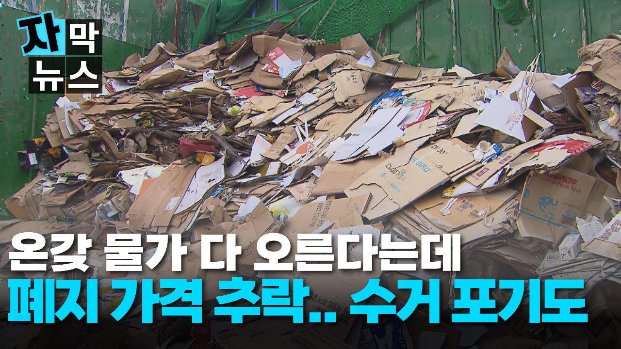 자막뉴스] 20년 전보다 못한 폐지 가격.. 수거 작업 포기까지