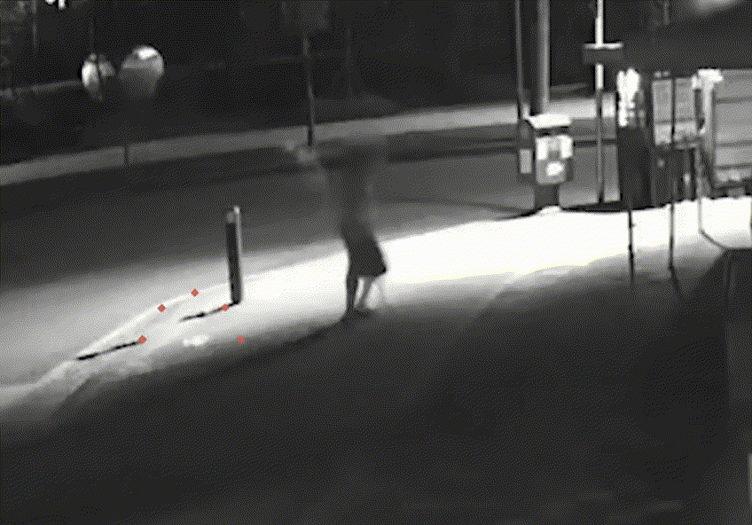 마트 계단에서 자다가 깬 A씨는 직원 전용 쪽문으로 나가 흡연한 뒤 다시 마트로 돌아가 물건을 훔친 혐의를 받는다/사진=대전경찰청