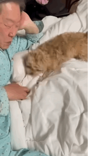 이재명 대통령 공식 SNS