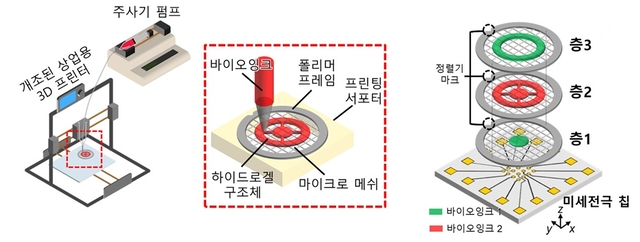 뇌 구조·기능 샅샅이 들여본다…3D 신경세포 뇌 모델 구현