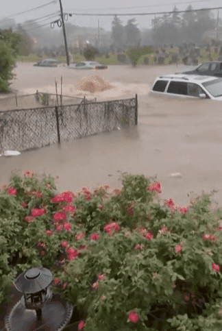 지난 14일 미국 뉴저지주 플레인필드시에서 폭우로 불어난 급류에 침수된 차량들