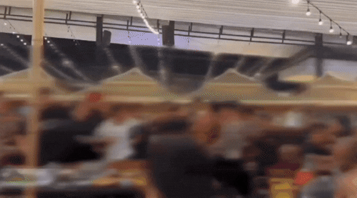 틱톡 ‘robinluo1121’ 캡처