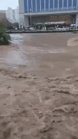 7cea8574b2816dfe38ea98b21fd70403e4dee9ad432f08ad3e7956